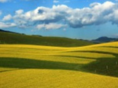 体育生腹肌自慰浓精黑裤子：黑裤下的误解与真实-1