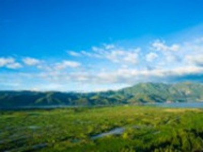米塔焯出白水了：米塔烧出清水了-1