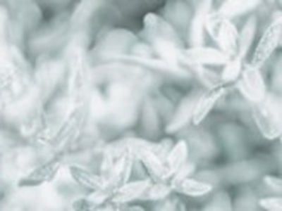 欧洲尺码大免费：欧码宽松送-2