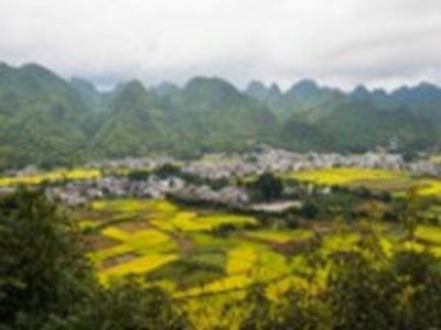 激情五月丁香六月：热烈五月繁花六月-2