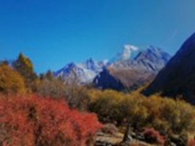 巨茎大战中国女：广告创意引关注,真相水落石出-2