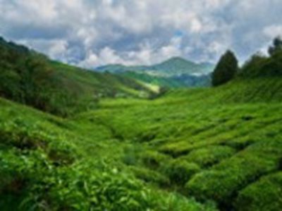 手机看片福利盒子：高清免费影视,便捷观看体验-4