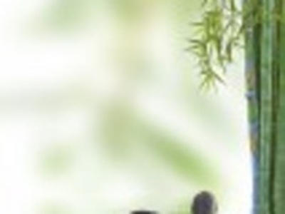 男生女生打扑克网站：扑克游戏新平台,社交竞技两不误-3
