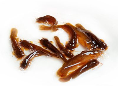 天天舔天天射天天操：消费主义与内心空虚,网络文化虚拟满足,反思生活意义探索-2