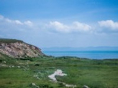 特大黑人娇小亚洲女：高挑黑人,小巧亚洲-4